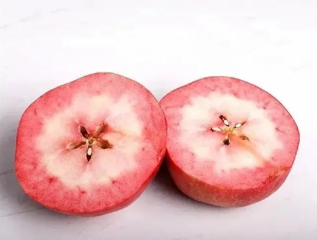 红肉苹果新闻红肉苹果栽培技术