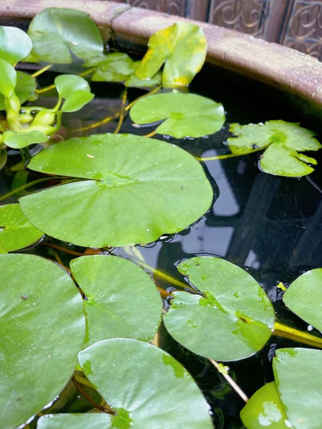 松江同乐网手机版(松江同乐路属于哪个街道)-第3张图片-QuickQ官网