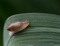 蜗牛加速器手机版下载(蜗牛网游加速器)-第4张图片-QuickQ官网