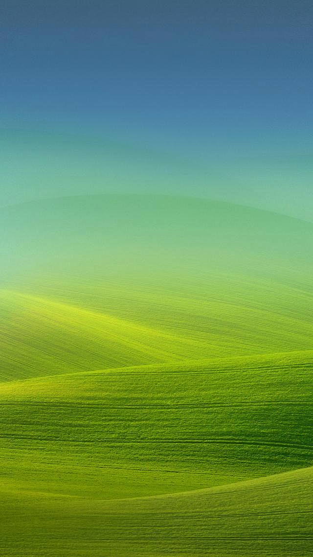 手机电视绿色版(手机电视绿色版app)